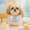 Blue plaid pet birthday set with rainbow embroidery bib and lace party hat for dogs - Small / Birthday Bib Blue Edge With Hat
