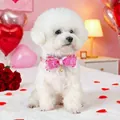 Nahaufnahme von rosa Haustier-Halsband mit LOVE-Aufdruck und Herzanhänger auf Hund - LOVE Herz