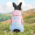 Three-color hooded pet windbreaker with heart charm and elastic fit for small dogs - XS / Tiffany Blue