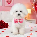 Collier nœud rose pour animaux avec motifs cœur et pendentif argenté sur un chien - Cœur en Pierre Gemme