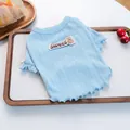 Maglione in maglia azzurra per animali con toppa a orsetto e bordi ondulati chic - XS / Blu