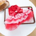 Roze-rode tule huisdierjurk met hart-strass strik voor kleine honden en katten - XS / Rood & Roze Sweetheart