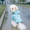 Light blue waterproof dog raincoat with hood and pocket on a white dog in outdoor street - Hooded Sky Blue Jumpsuit Raincoat