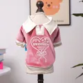 Close-up of pink velvet pet polo shirt featuring white heart embroidery and gold trim - Sweet Velvet Polo Shirt - Pink