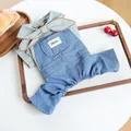 Dog outfit with large green bow shirt and denim overalls on a wooden tray with fruit - XS / Light Green and Denim Blue