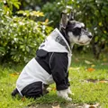 Panda style waterproof pet raincoat with cute cartoon hood on a dog in a park - Panda Style Cartoon Raincoat