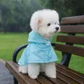 Waterproof sky blue hooded raincoat for small dogs shown on a white Bichon Frise outdoors - Sky Blue Poncho Raincoat