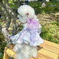 Detail of lavender pet princess dress featuring layered lace and a large purple bow - Midsummer Floral Style Green