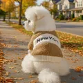 Détail d'un sweat à capuche pour chien en laine d'agneau avec broderie New York - XS (Poids 1.5kg) / Hauts / Patchwork Marron et Blanc (New York)