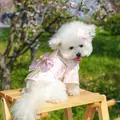 Detail of pink floral pet dress with a large purple bow and gold tassel on a Bichon Frise - Sakura Dream Kimono Pink