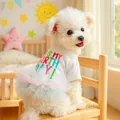 Dog birthday outfit featuring a white T-shirt and colorful rainbow tutu skirt for small pets - XS (Weight 1.5kg) / Dog Ballet Tutu Blue Pink