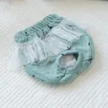 Dettaglio dei pantaloni fisiologici verde menta per cani con pizzo e foro per coda - Stile Stampa Ancora Verde
