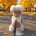 Gilet chaud en polaire pour chien avec harnais anneau D bicolore pour l'hiver - XS (Poids 1.5kg) / Hauts / Épissage Rose (Capuche Rose)