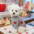 Detail of grey knitted dog sweater with red heart patch worn by a white Bichon dog - XS (Weight 1.5kg) / Grey Heart Style