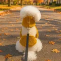 Détail d'un sweat à capuche pour chien en laine d'agneau jaune avec anneau en D et poche - XS (Poids 1.5kg) / Hauts / Café Clair