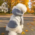 Sweat à capuche chaud en polaire pour chien avec anneau en D, vue de dos automne - XS / Hauts / Patchwork de Chapeau Gris