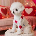 Close-up of white knit dog sweater with red heart patterns for small pets - XS (Weight 1.5kg) / White Heart Style