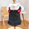 Detailansicht eines Haustier-Jeanskleids mit weißem Rüschenkragen und roten Blumen - XS (Gewicht 1.5kg) / Roter Blumenträgerrock