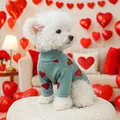 Detail of teal ribbed knit dog sweater with red hearts on a small white Bichon - XS (Weight 1.5kg) / Bean Green Heart Style