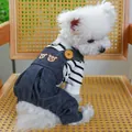 Détail d'une salopette en jean pour chien avec broderie ours et chemise rayée sur chien - Nouvelle Salopette en Denim Noir Tête d'Ours Rayé