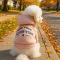 Sweat à capuche rose en polaire pour petit chien avec broderie New York et étoiles - XS / Hauts / Étoile New York - Rose
