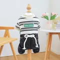 Striped pet jumpsuit with denim pants and bow detail on a wooden display model - XS / Striped Denim Blue