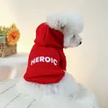 Close-up of a red pet hoodie with white HEROIC print on a small white curly-haired dog - Heroic Red Hoodie
