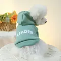 Schattige bonengroene hondenhoodie met witte LEADER-tekst voor kleine huisdieren - XS / Leader Saliegroene Hoodie