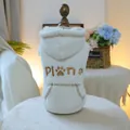 Sweat à capuche blanc gaufré pour animaux avec broderie PLAY dorée et doublure polaire - XS (Poids 1.5kg) / Hauts / Sweat à Capuche Plan A - Blanc Cassé