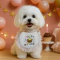 White birthday pet bandana with colorful tassels and embroidered bear for small dogs - Large / Birthday Bear Bib