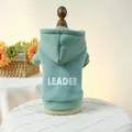 Sage green hooded pet sweatshirt with white LEADER text print on a wooden hanger - Leader Bean Green