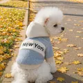 Sweat à capuche bleu ciel pour petit chien en polaire sherpa avec texte New York - XS (Poids 1.5kg) / Hauts / Patchwork Bleu et Blanc (New York)