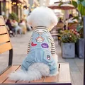 Dettaglio salopette in denim per cani con ricamo arcobaleno e maglia a righe bicolore - Salopette Con Toppa Arcobaleno