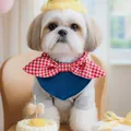 Dog birthday party outfit with red plaid bow tie, blue bandana, shirt and yellow hat - Red Plaid Bowknot Bib With Hat