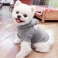 Grey hooded knit pet sweater with pink starfish detail worn by a small white Pomeranian - XS / Light Gray