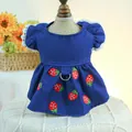 Detail of dark blue pet denim dress featuring strawberry embroidery and white lace sleeves - XS / Strawberry Denim Dress