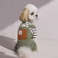 Petos de pana para perros con camisa de rayas, mostrados en un cachorro blanco pequeño - XS / Overol con Bolsillo Café Verde