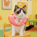 Pink lace pet collar with bow and heart pendant worn by a cute Ragdoll cat - Ruby Gold Gauze Bib