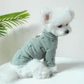 Gray knitted high-neck dog shirt with anchor print and D-ring for leash attachment - XS (Weight 1.5kg) / Anchor Print Base Shirt - Green
