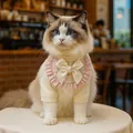Close-up of pink tweed pet bib with pearl bow and ribbed knit sweater on a Ragdoll cat - Beige Tweed Style Bib