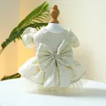 Elegantes Haustier-Prinzessinnenkleid in Beige mit Goldglitzer, Schleife und Perle - XS / Schleierkraut Hochzeitskleid - Weiß