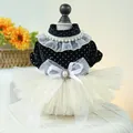 Robe élégante pour animaux en velours à pois avec dentelle blanche et gros nœud - XS / Pois Noir et Blanc