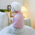 Pink high-neck ribbed knit sweater for small dogs and cats, cozy and warm pet base layer - XS (Weight 1.5kg) / Tops / Pink (Solid)