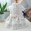 Floral pet princess dress with white lace trim and yellow daisy waistband for small dogs - XS (Weight 1.5kg) / Tops / 22 Floral Skirt - Lavender