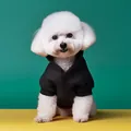 Close-up of a black pet hoodie on a white dog featuring a V-neck and soft knit fabric - XS / Black