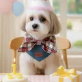 Blue plaid pet birthday bandana and party hat set for small dogs and cats - Christmas Plaid Bowknot Bib With Hat