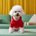 Detail of red pet hoodie featuring ribbed cuffs and soft fabric for small dogs - XS / Red