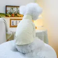 Light green ribbed knit pet sweater for small dogs with a mock neck design - XS (Weight 1.5kg) / Tops / White (Solid)