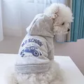 Grey pet hoodie featuring vintage American style Michigan Racing print for small dogs - Gray Old School