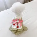 Green princess dog dress with white lace ruffles and cherry bow details for small pets - Cherry Cake Skirt